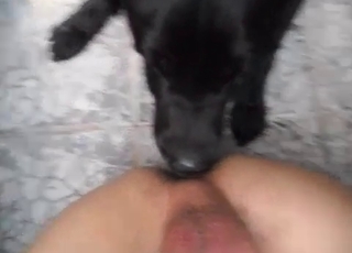 Guy has sex with his dog