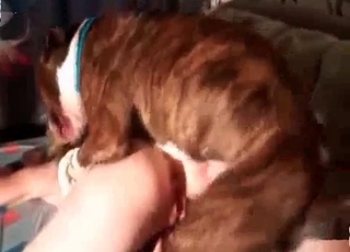 Brown pup and horny girl