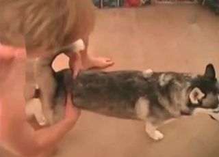 Dog fucked in a small anal hole