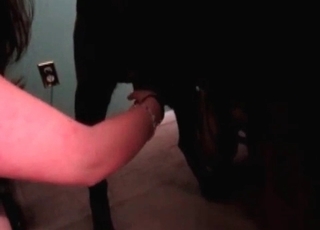 Dogs cock inside a tight hole