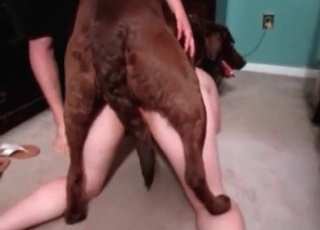 Dogs cock inside a tight hole