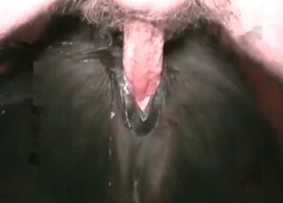 Dude fucking black mustang