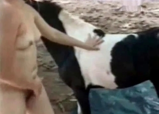 Horsy receiving a blowjob