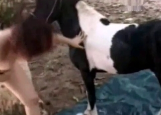 Horsy receiving a blowjob