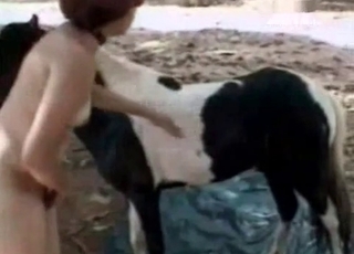 Horsy receiving a blowjob