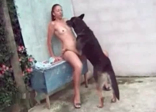 Zoo sex with a dog