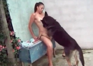 Zoo sex with a dog