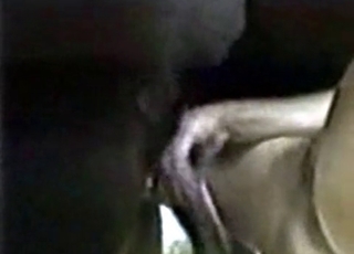 Creampie by a black stallion