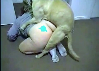 Playful dog gets a nice reward