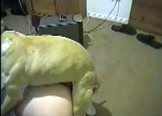Playful dog gets a nice reward
