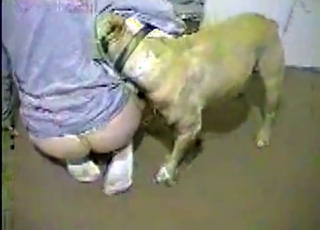 Playful dog gets a nice reward