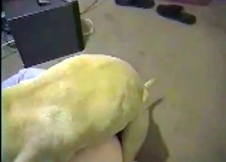 Playful dog gets a nice reward