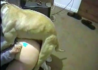 Playful dog gets a nice reward