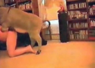 Puppy fucking in doggy style