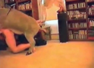 Puppy fucking in doggy style