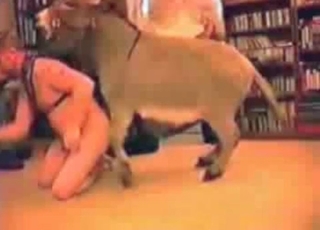 Puppy fucking in doggy style