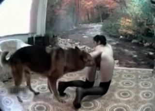 Shepherd pounds a tight vagina