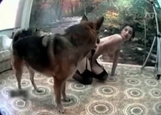 Shepherd pounds a tight vagina