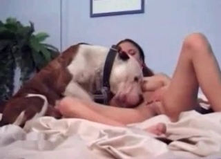 Nasty teen plays with her animal