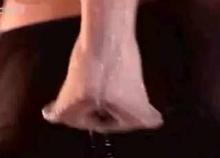 Nasty horse cums a massive load