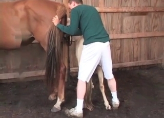 Small pony enjoys bestiality