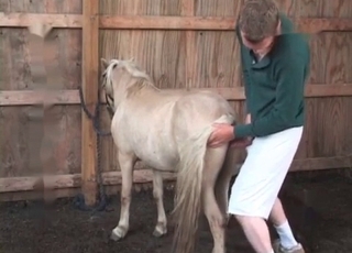 Small pony enjoys bestiality