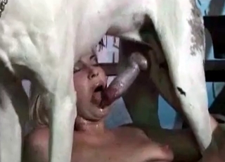 Blowjob to a stray