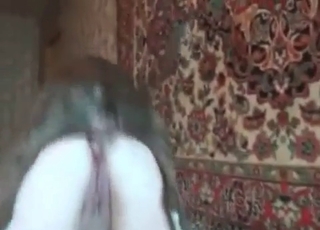Babe licked out by a pooch