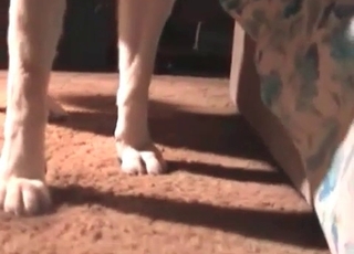 Mature slut and her pup