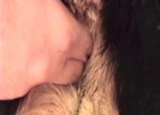 Zoo porn featuring dogs ass