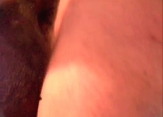 Mustang fingered in close up