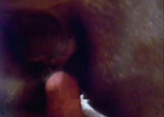 Mustang fingered in close up