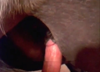 Mustang fingered in close up