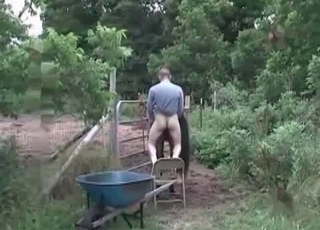 Outdoor farm sex with a horse