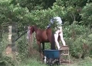 Outdoor farm sex with a horse
