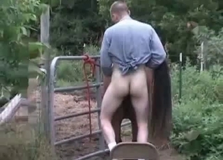 Outdoor farm sex with a horse