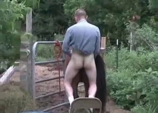 Outdoor farm sex with a horse