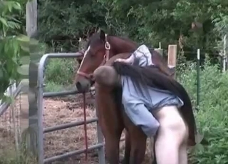 Outdoor farm sex with a horse