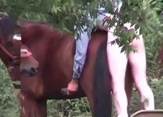 Outdoor farm sex with a horse