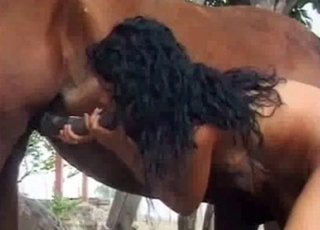 Pony being nicely licked out