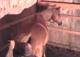 Brown mustang fucked