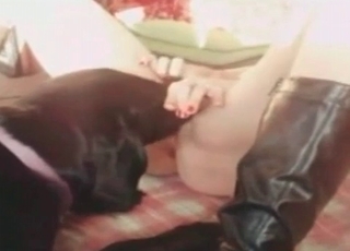 Black dog licks her tight hole