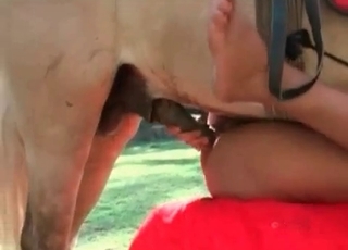 Horse impales a tight vagina
