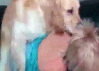 Dog creams a tight wet vagina