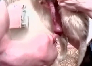 Nice oral performance in zoo porn