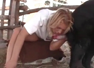 Blonde Licking out dogs cock