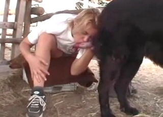 Blonde Licking out dogs cock