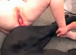 Mature riding mongrels dick