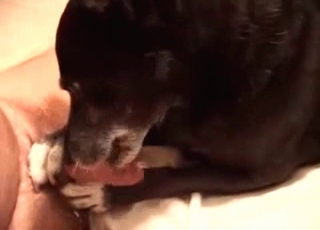 Animal sex featuring doggy