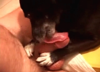 Animal sex featuring doggy